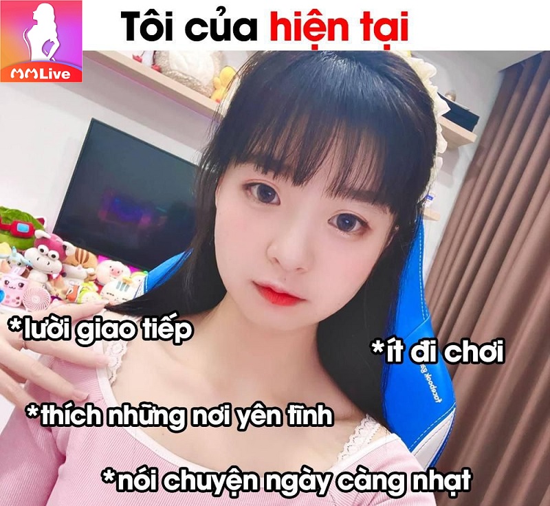 mèo 2k4 hiện tại