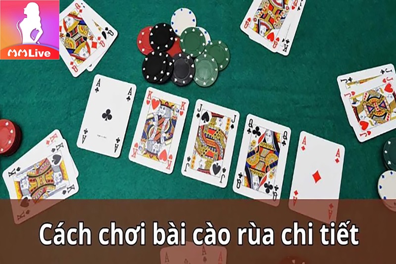 cách chơi cào rùa